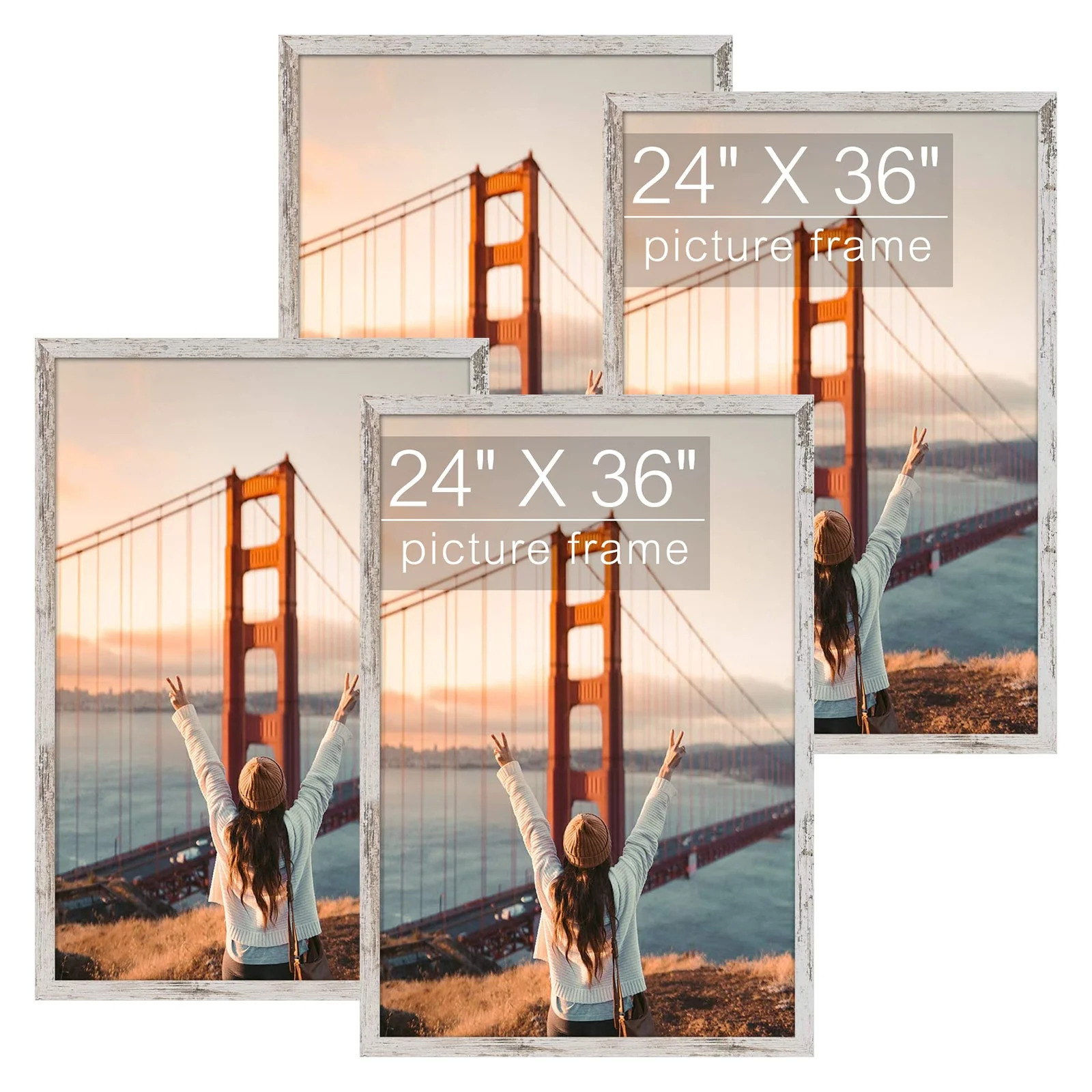 24x36 Glass Photo Frame